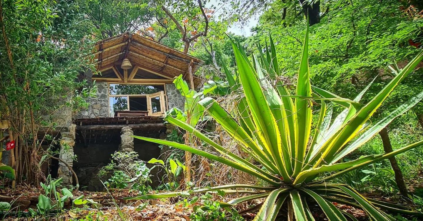 Butterfly Space- A Non-Profit Eco-Lodge Nkhata Bay Dış mekan fotoğraf