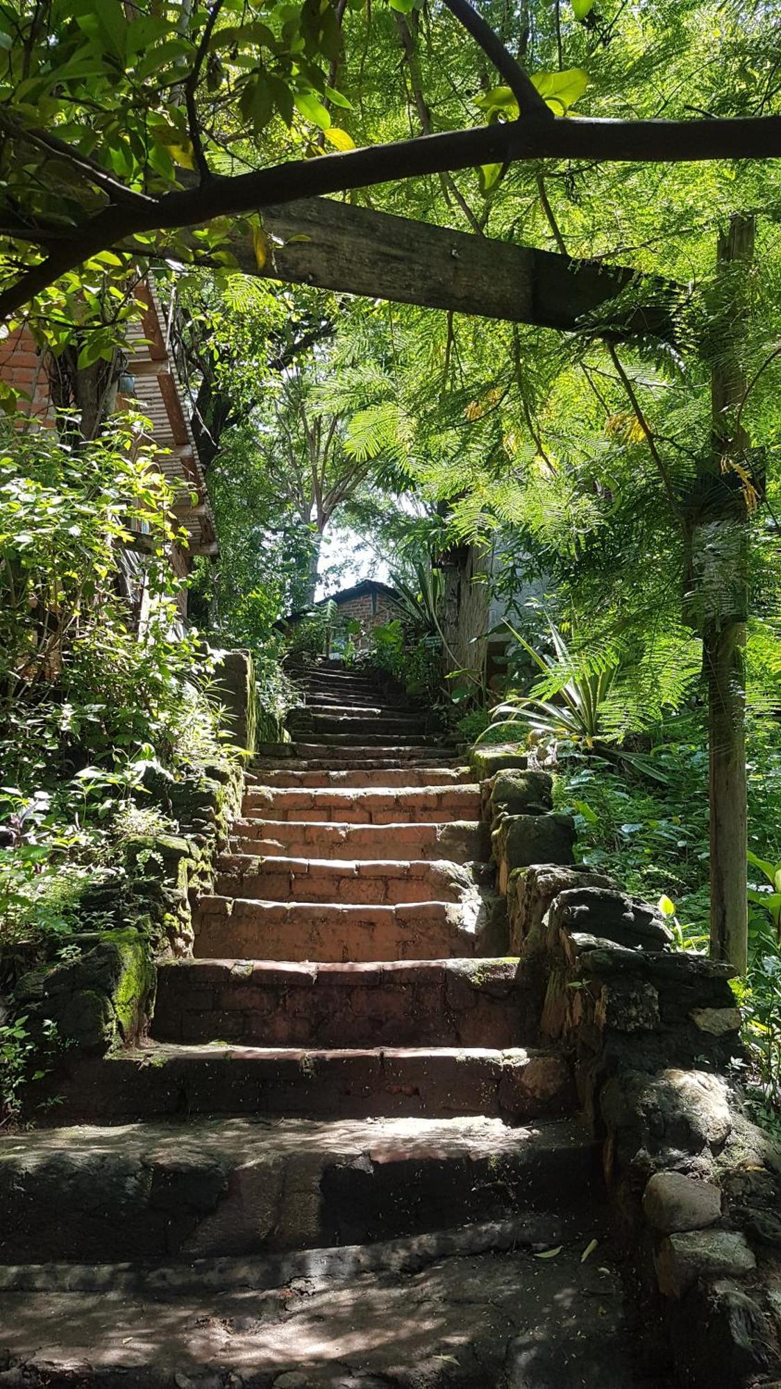 Butterfly Space- A Non-Profit Eco-Lodge Nkhata Bay Dış mekan fotoğraf