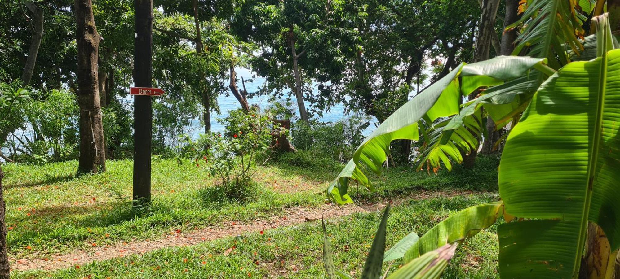 Butterfly Space- A Non-Profit Eco-Lodge Nkhata Bay Dış mekan fotoğraf