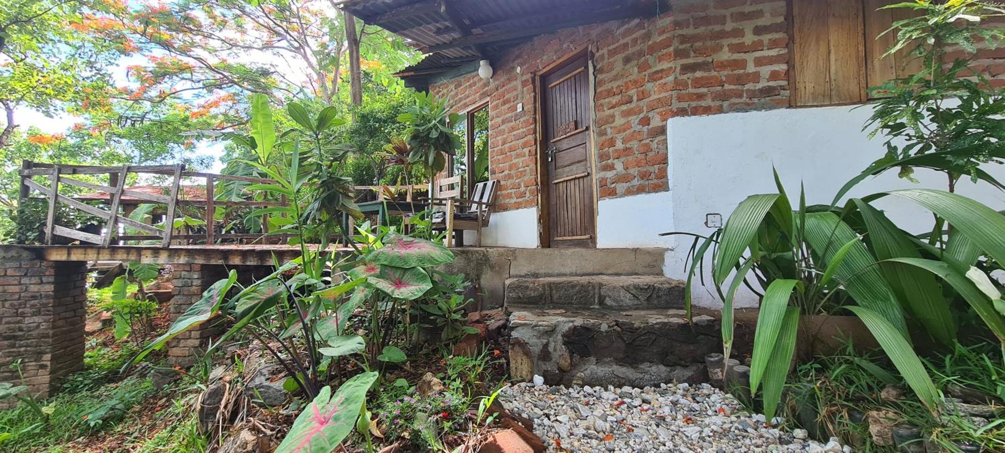 Butterfly Space- A Non-Profit Eco-Lodge Nkhata Bay Dış mekan fotoğraf